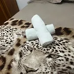 Apartamento Em Copacabana Beira Mar